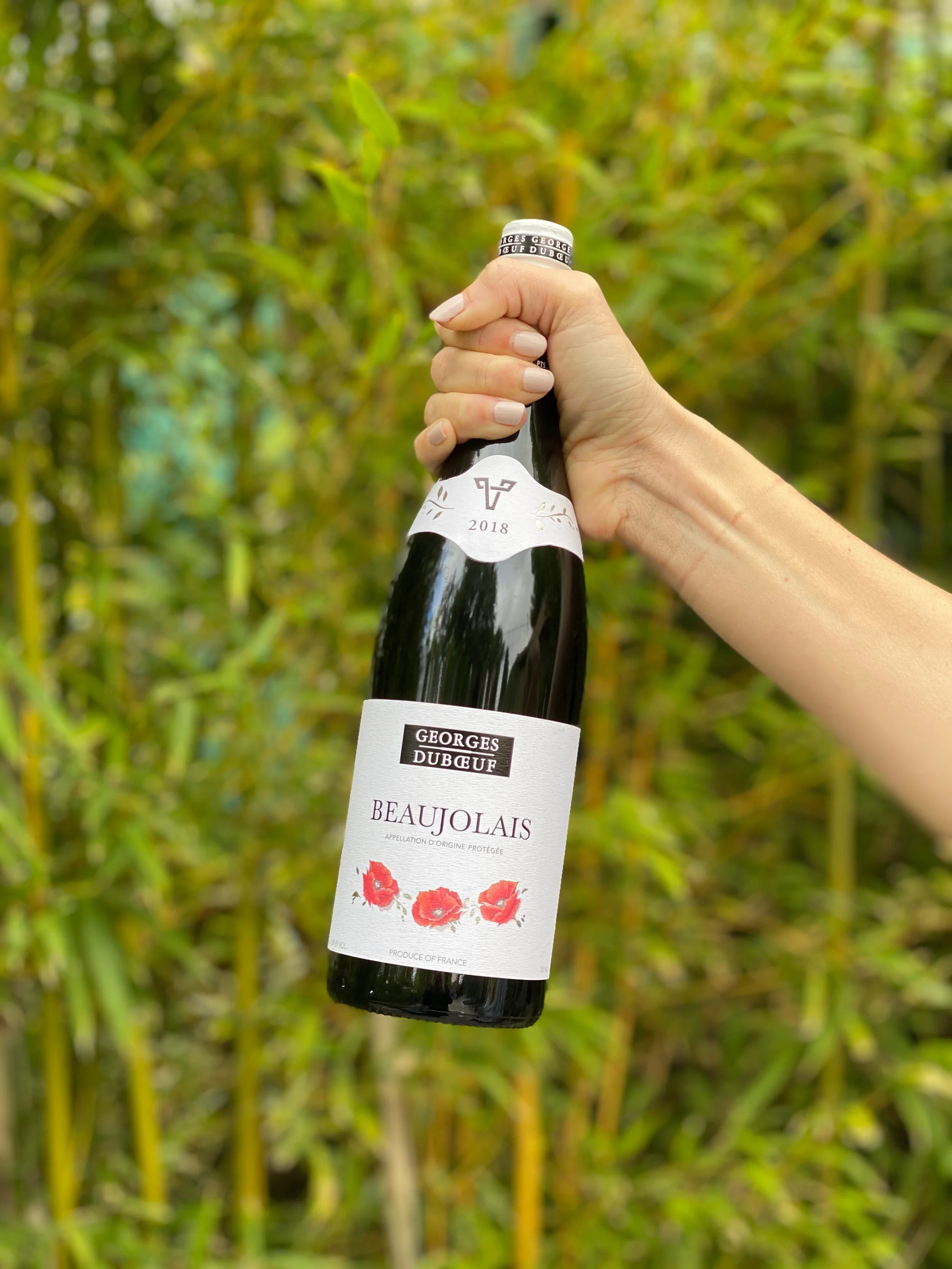 2018 Georges Duboeuf Beaujolais — Trader Joe's Sommelier